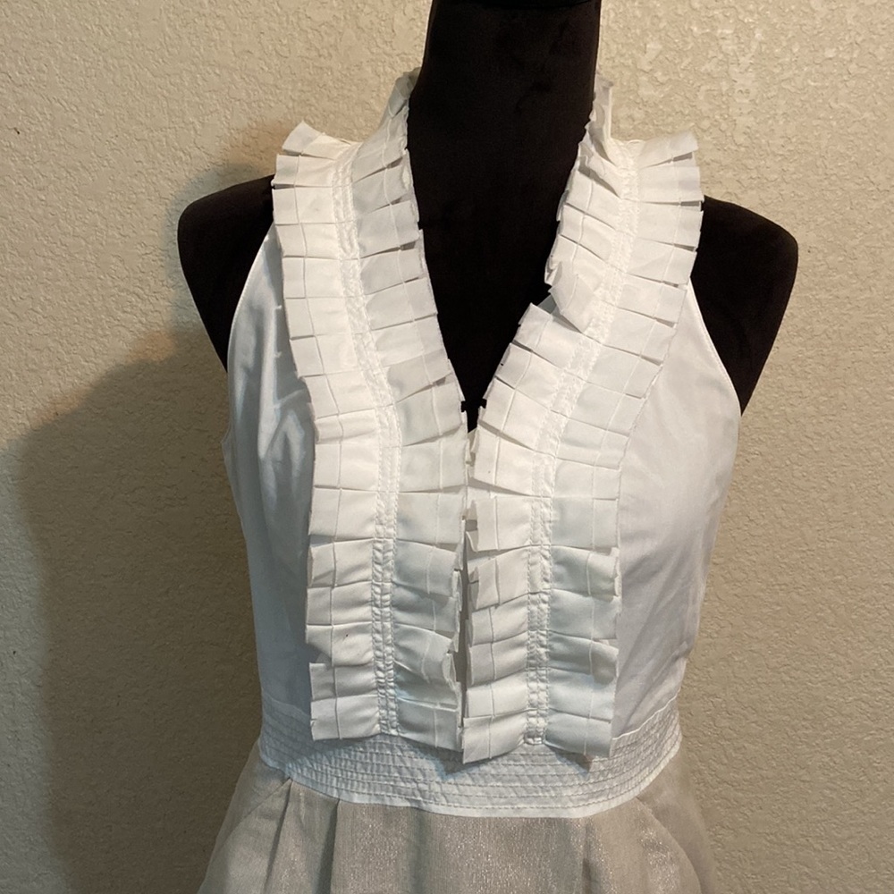 ANN TALYOR LOFT DRESS - Picture 2 of 11